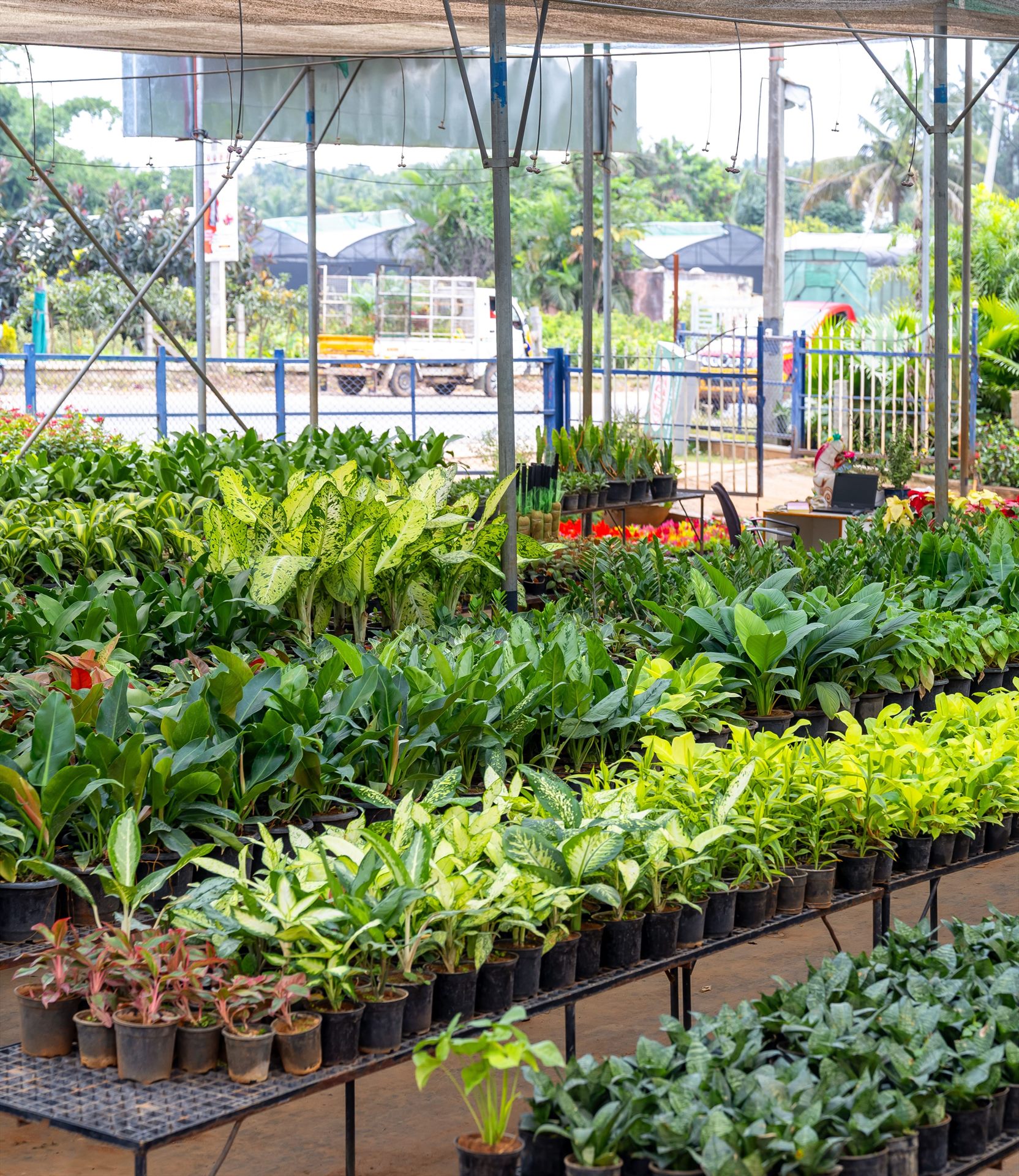 SBL Farm A